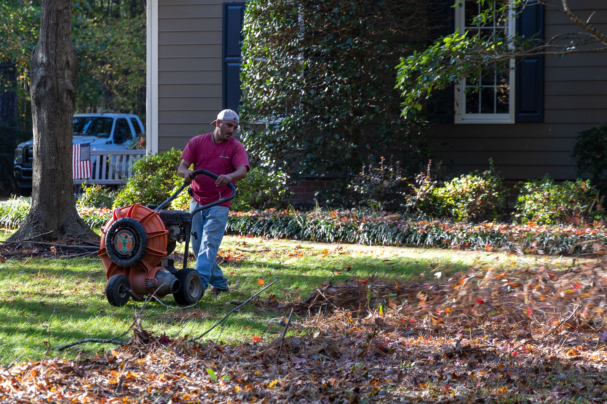 Leaf cleanup