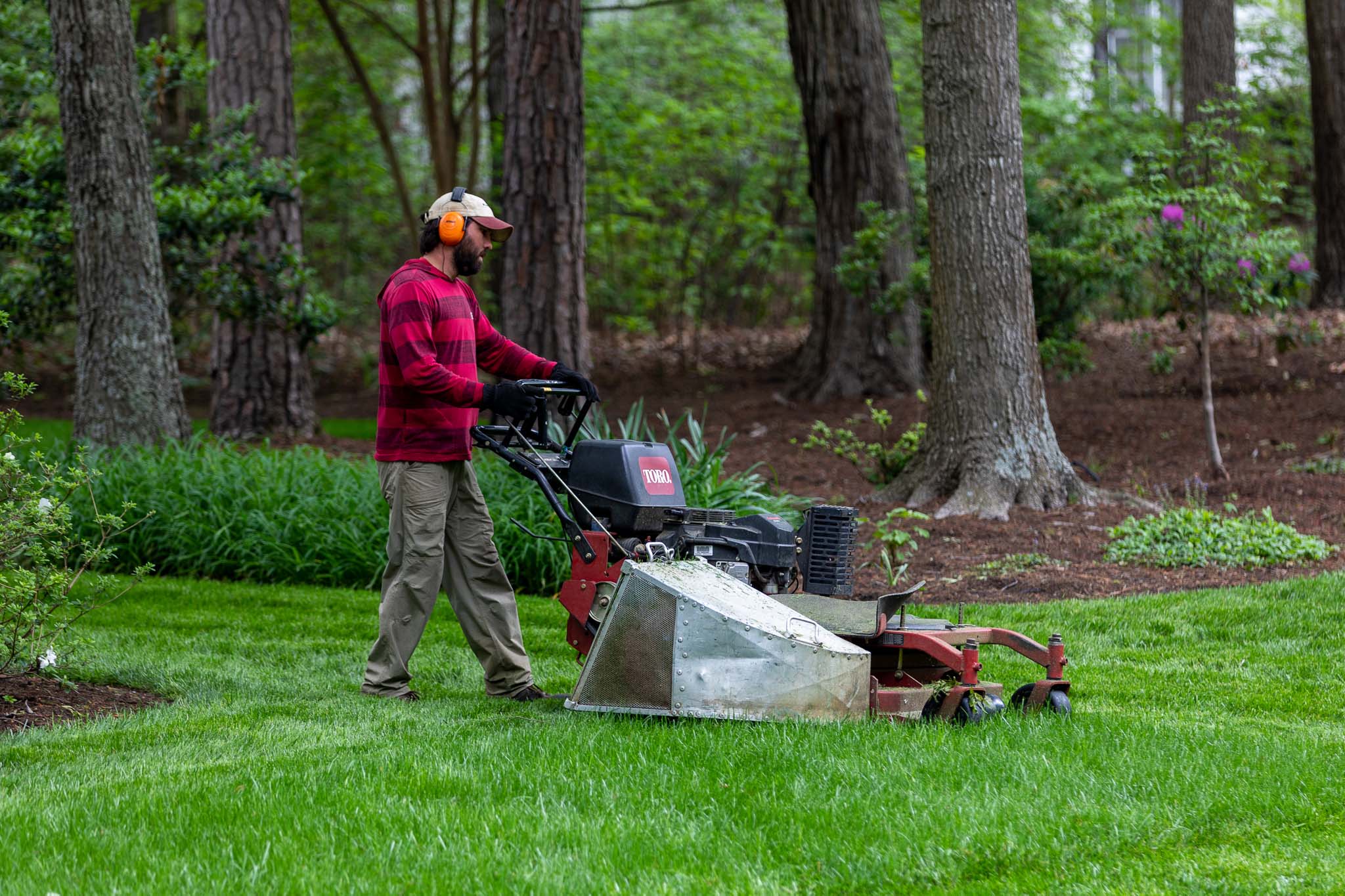 Lawn cutting