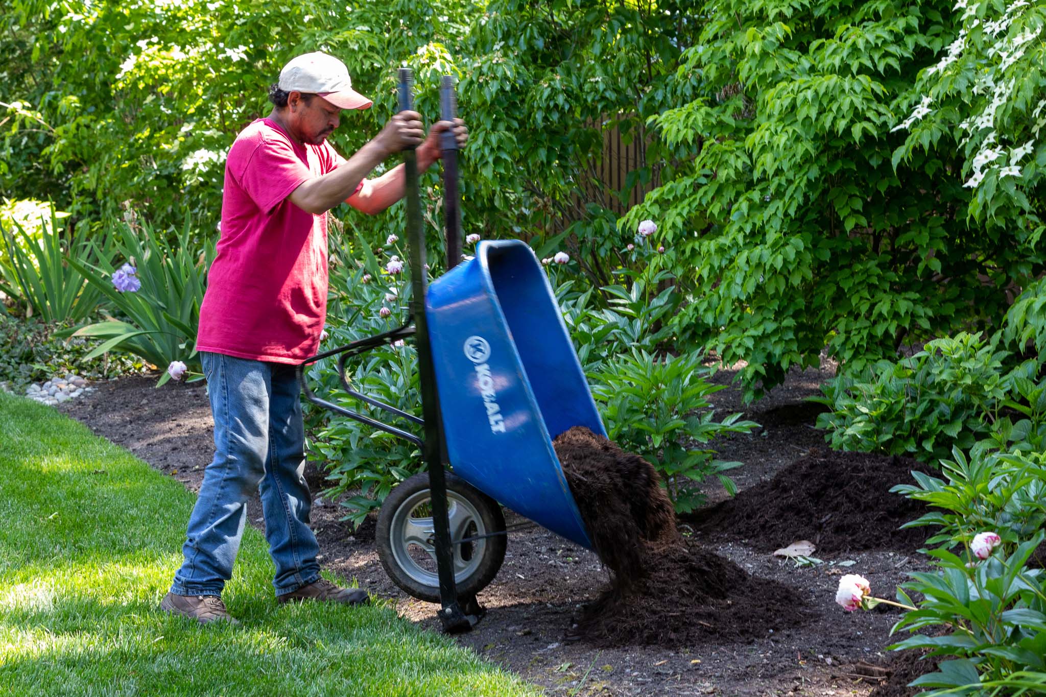 Adding mulch to the beds