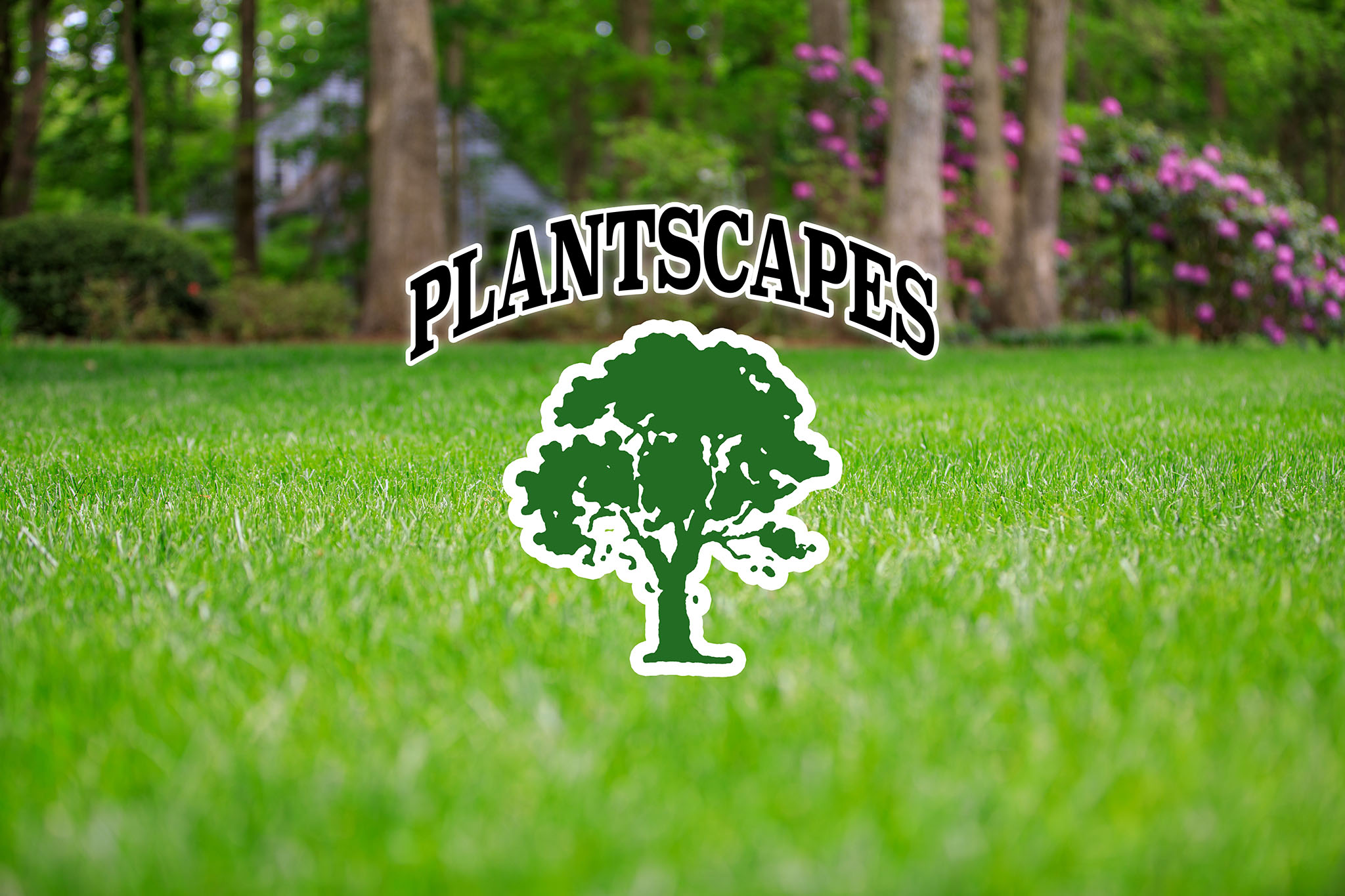 Plantscapes logo overlay on a beautifully manicured lawn